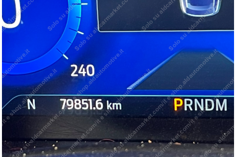 2023 Ford Kuga, Dyzelinas